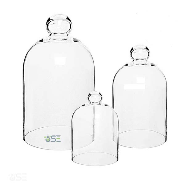Laboratory Glass Bell Jar
