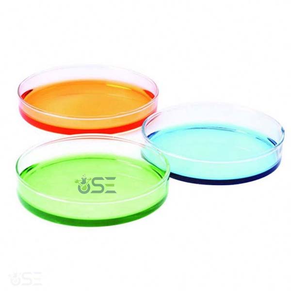 Glass Petri Culture Dish