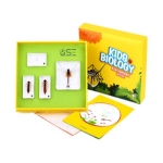 The Growth Of Dragonfly Specimen